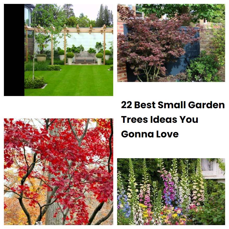 22 Best Small Garden Trees Ideas You Gonna Love SharonSable