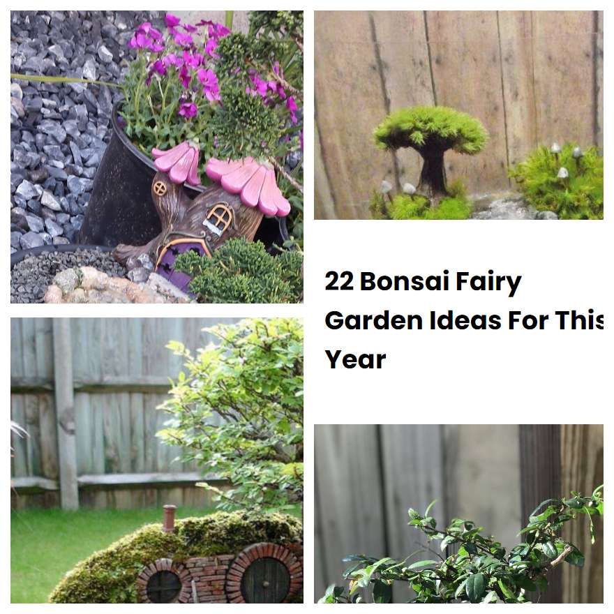22 Bonsai Fairy Garden Ideas For This Year