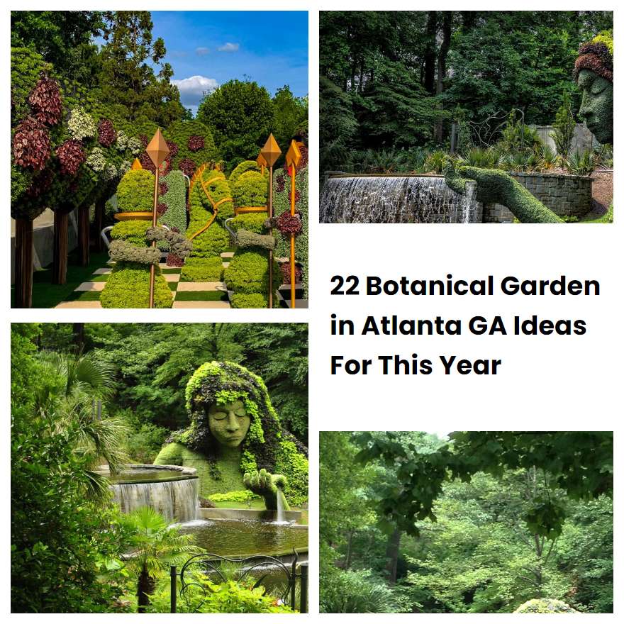 22 Botanical Garden in Atlanta GA Ideas For This Year
