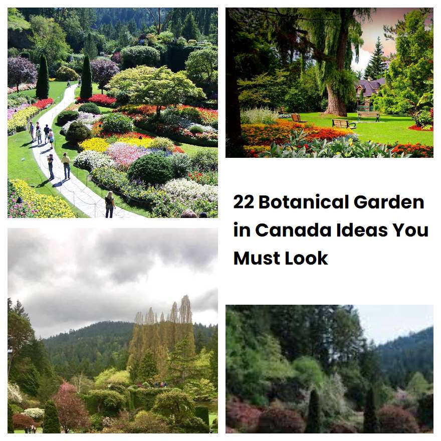 22 Botanical Garden in Canada Ideas You Must Look