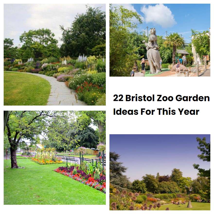 22 Bristol Zoo Garden Ideas For This Year