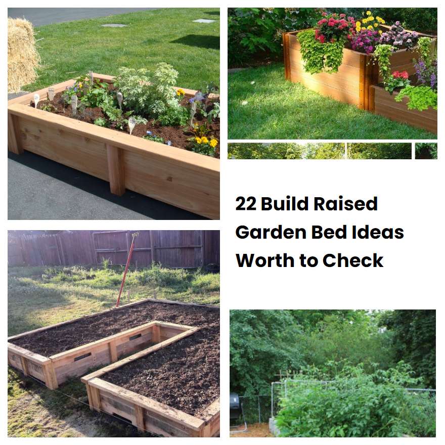 22 Build Raised Garden Bed Ideas Worth to Check