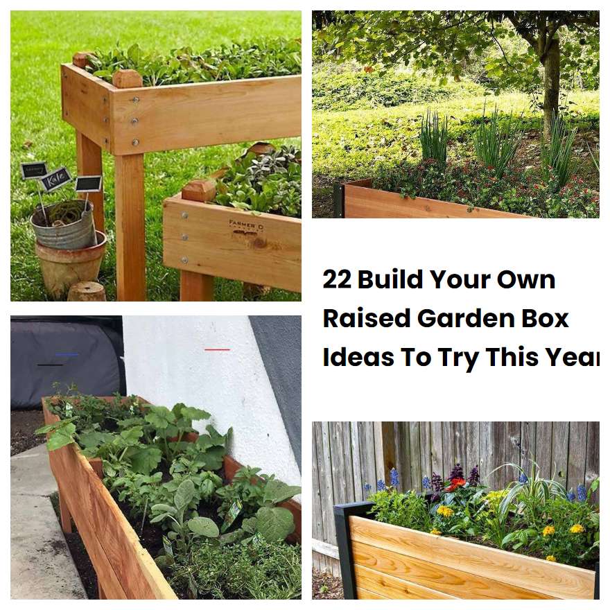 22 Build Your Own Raised Garden Box Ideas To Try This Year
