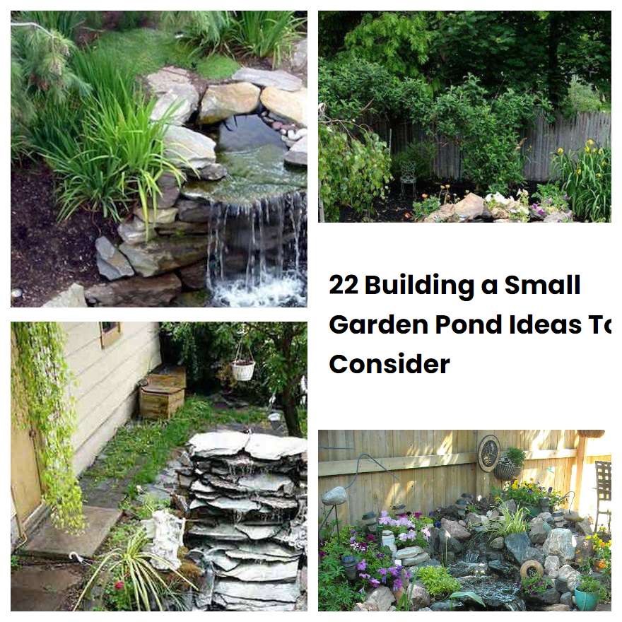 22 Building a Small Garden Pond Ideas To Consider