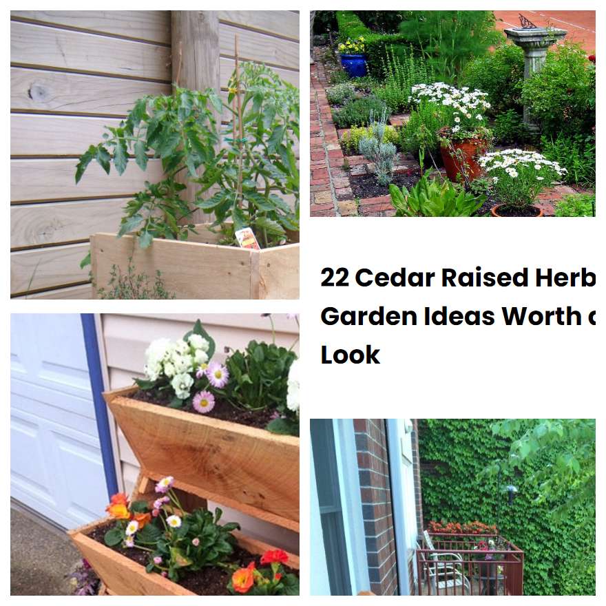 22 Cedar Raised Herb Garden Ideas Worth a Look SharonSable