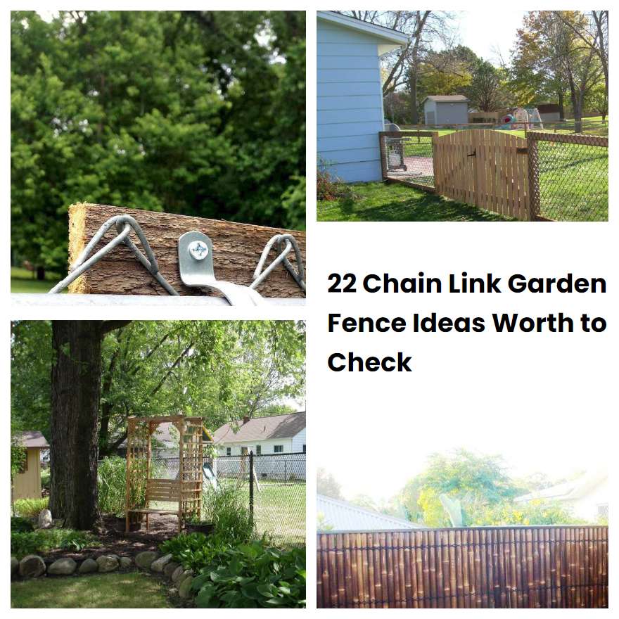 22 Chain Link Garden Fence Ideas Worth to Check SharonSable