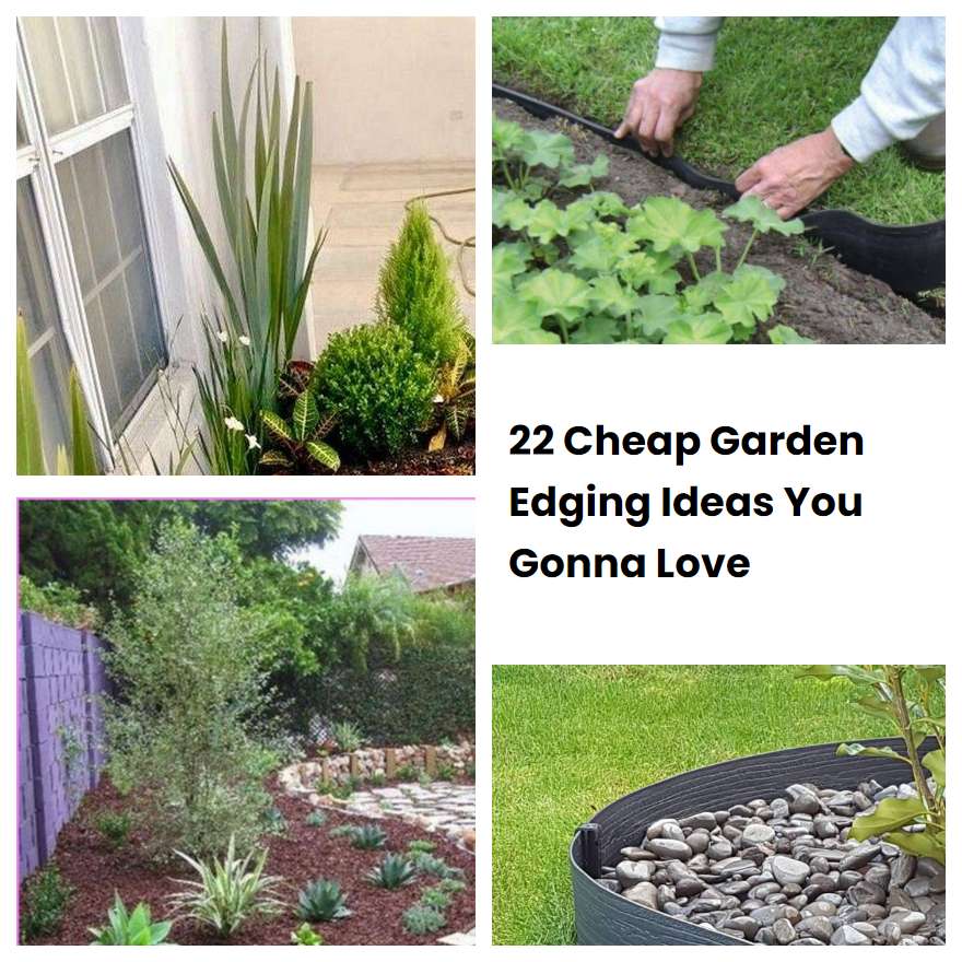 22 Cheap Garden Edging Ideas You Gonna Love SharonSable