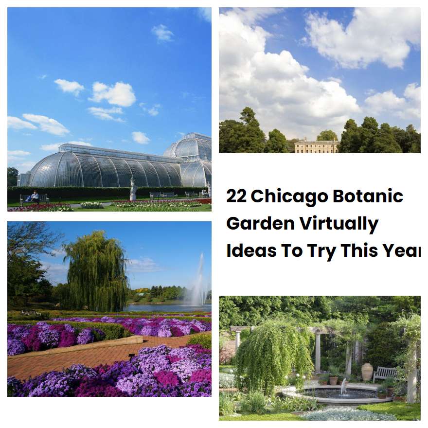 22 Chicago Botanic Garden Virtually Ideas To Try This Year