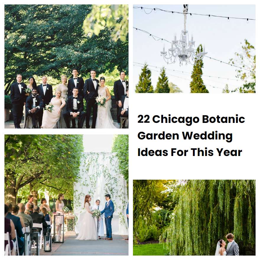 22 Chicago Botanic Garden Wedding Ideas For This Year