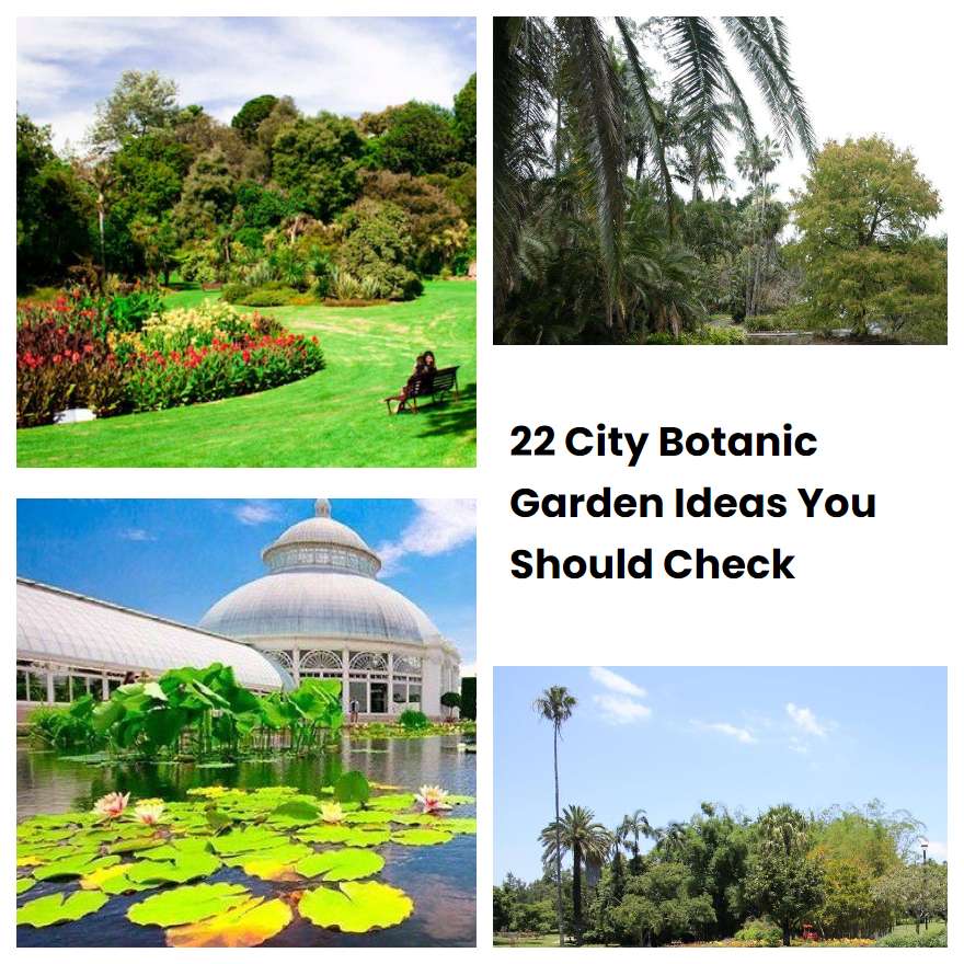 22 City Botanic Garden Ideas You Should Check