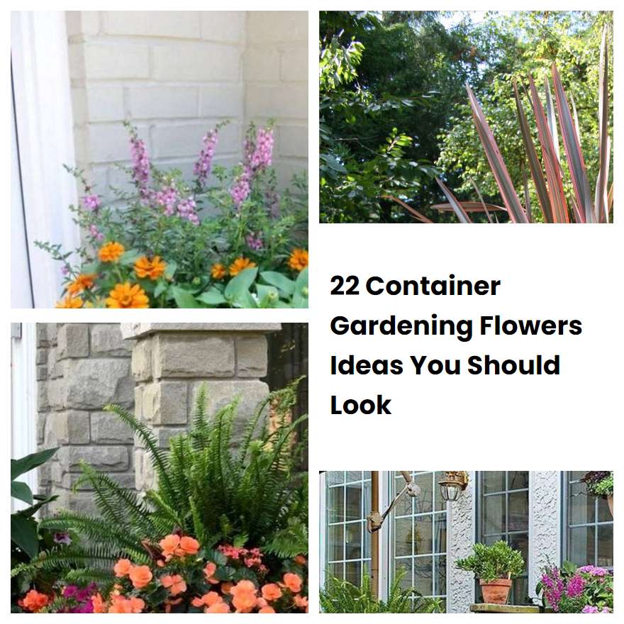 22 Container Gardening Flowers Ideas You Should Look