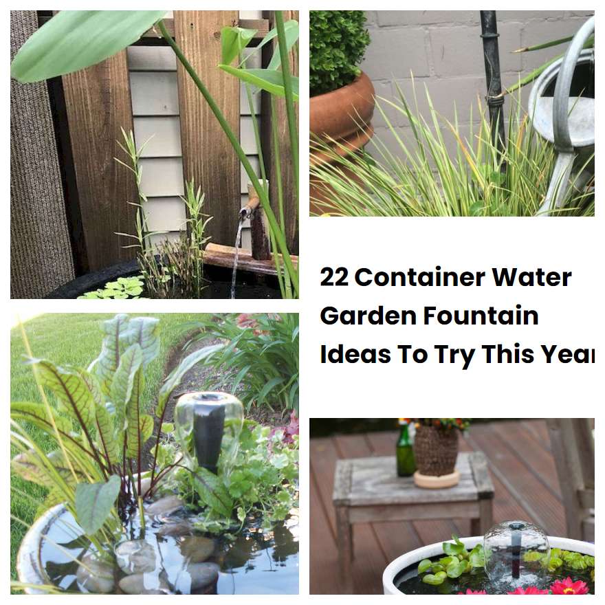 22 Container Water Garden Fountain Ideas To Try This Year