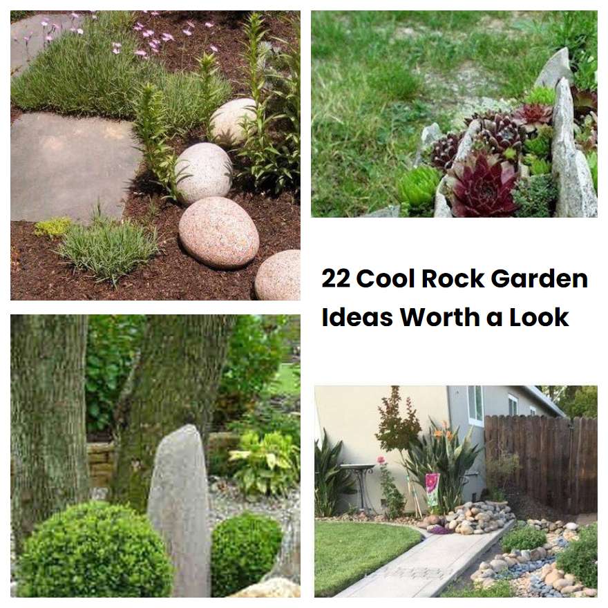 22 Cool Rock Garden Ideas Worth a Look