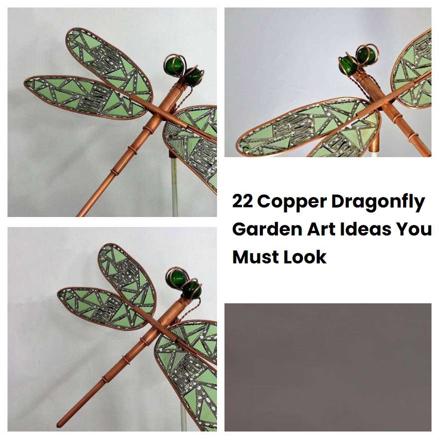 22 Copper Dragonfly Garden Art Ideas You Must Look SharonSable