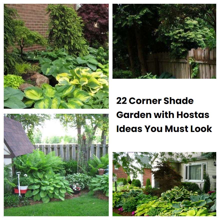 22 Corner Shade Garden with Hostas Ideas You Must Look | SharonSable