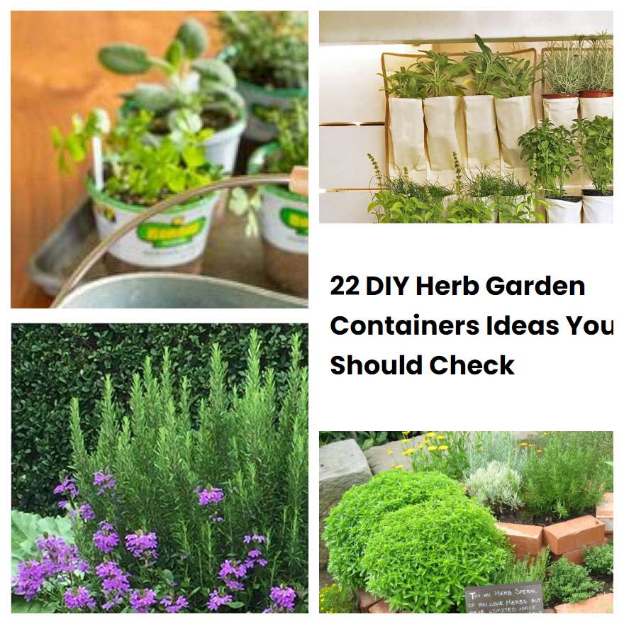 22 DIY Herb Garden Containers Ideas You Should Check