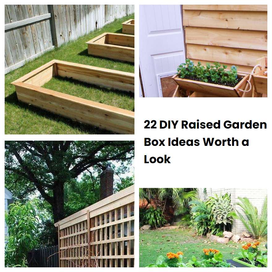 22 DIY Raised Garden Box Ideas Worth a Look SharonSable