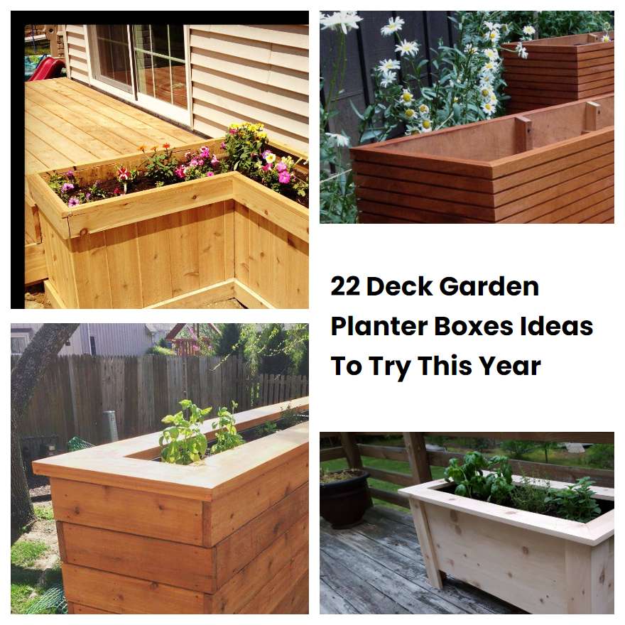 22 Deck Garden Planter Boxes Ideas To Try This Year