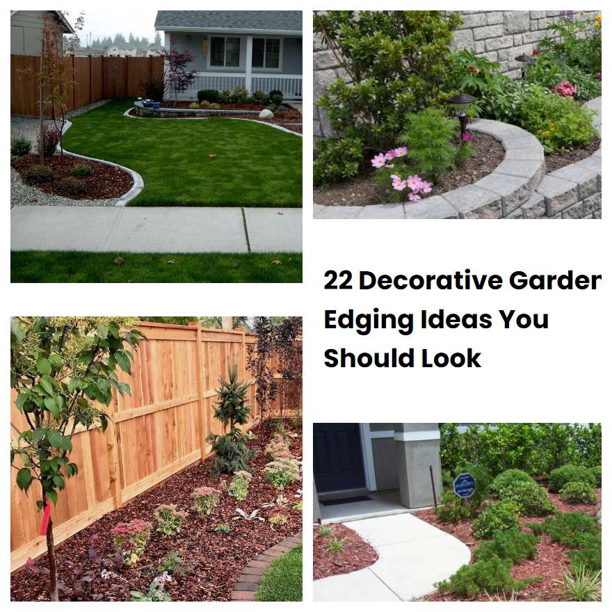 22 Decorative Garden Edging Ideas You Should Look SharonSable