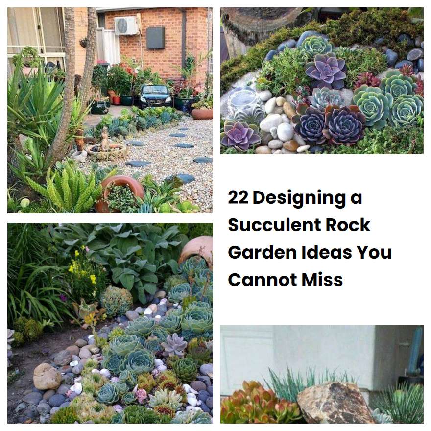 22 Designing a Succulent Rock Garden Ideas You Cannot Miss