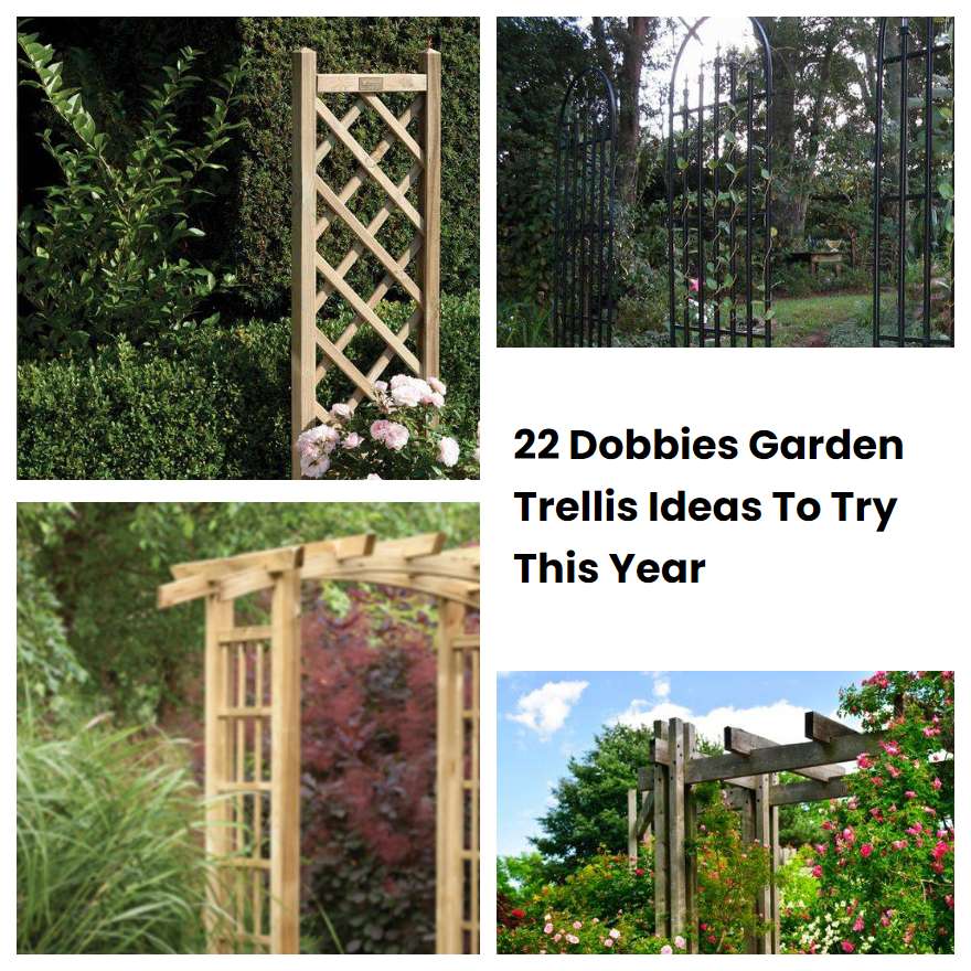 22 Dobbies Garden Trellis Ideas To Try This Year SharonSable