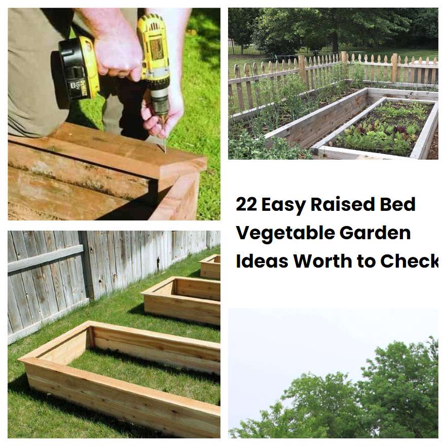 22 Easy Raised Bed Vegetable Garden Ideas Worth to Check