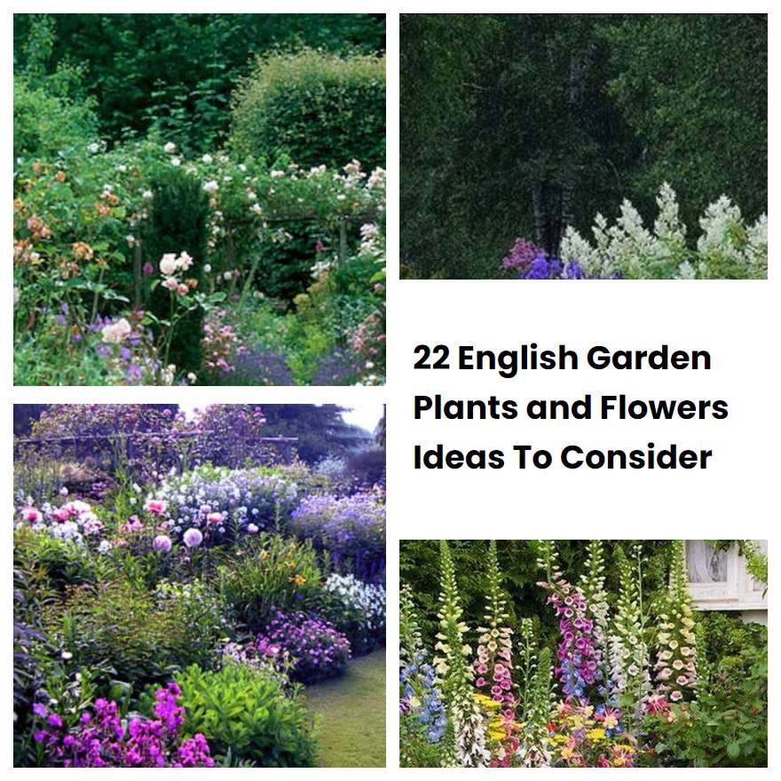 22 English Garden Plants and Flowers Ideas To Consider SharonSable