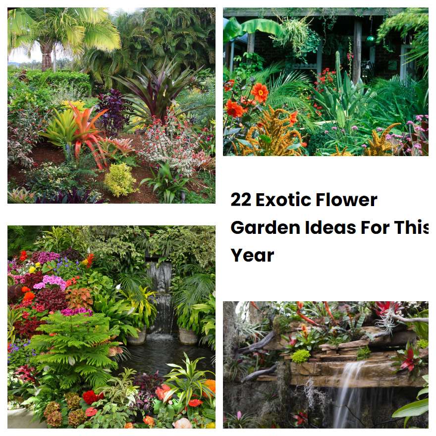 22 Exotic Flower Garden Ideas For This Year SharonSable