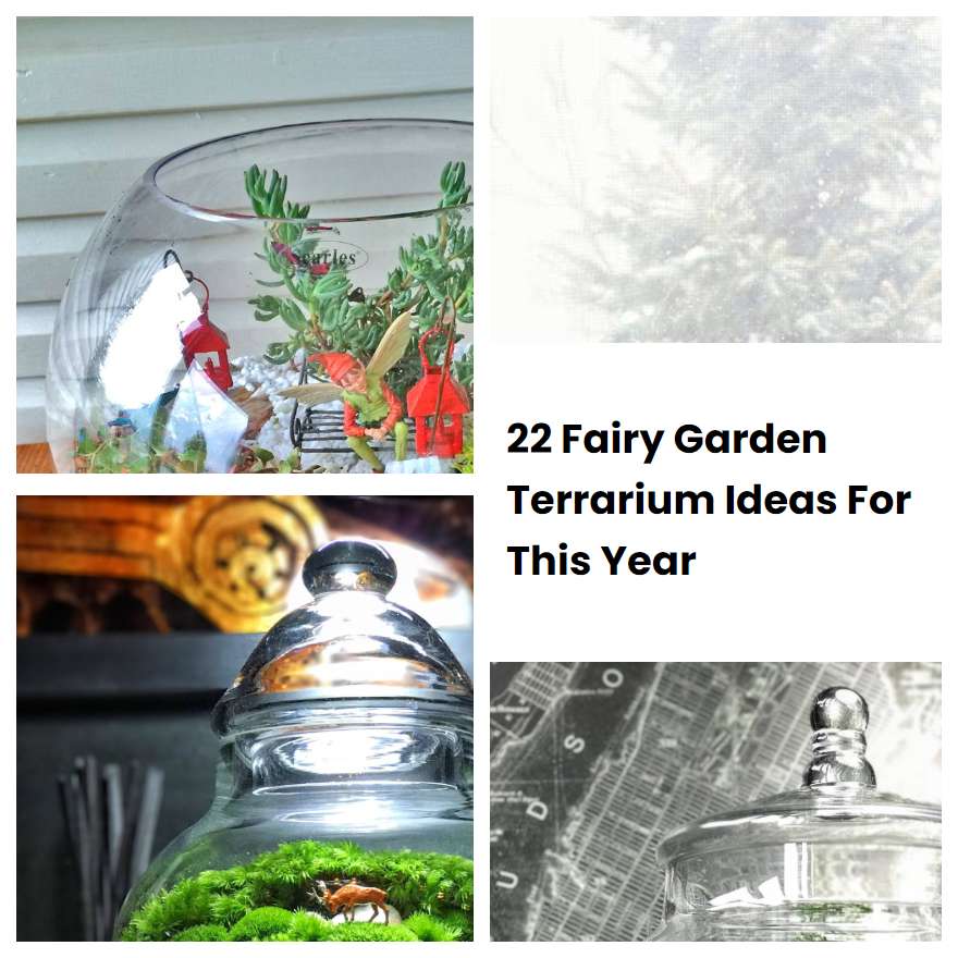 22 Fairy Garden Terrarium Ideas For This Year