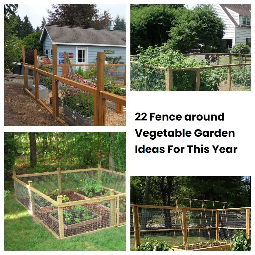 22 Fence around Vegetable Garden Ideas For This Year
