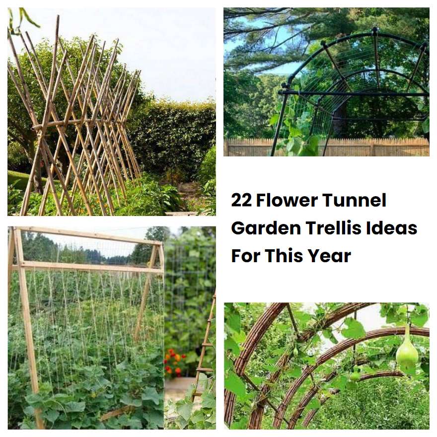 22 Flower Tunnel Garden Trellis Ideas For This Year SharonSable