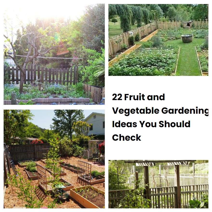 22 Fruit and Vegetable Gardening Ideas You Should Check SharonSable