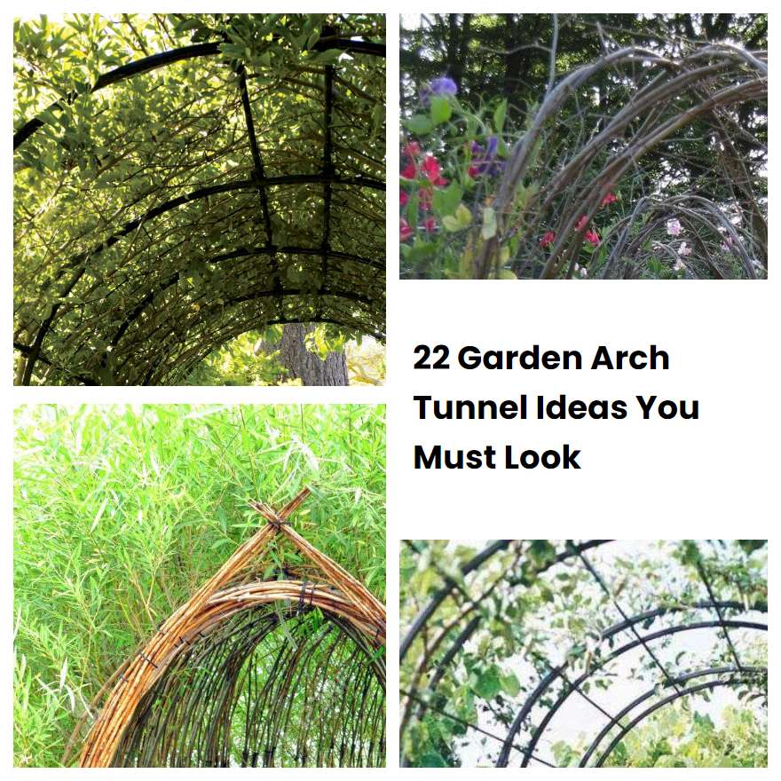 22 Garden Arch Tunnel Ideas You Must Look SharonSable