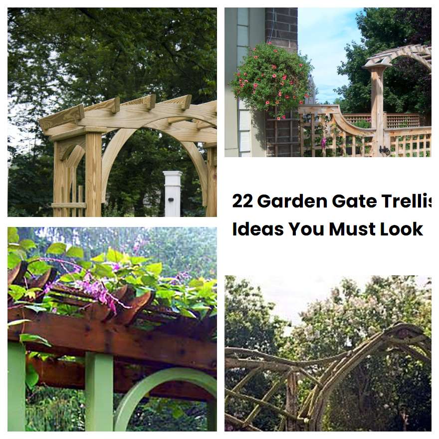 22 Garden Gate Trellis Ideas You Must Look SharonSable