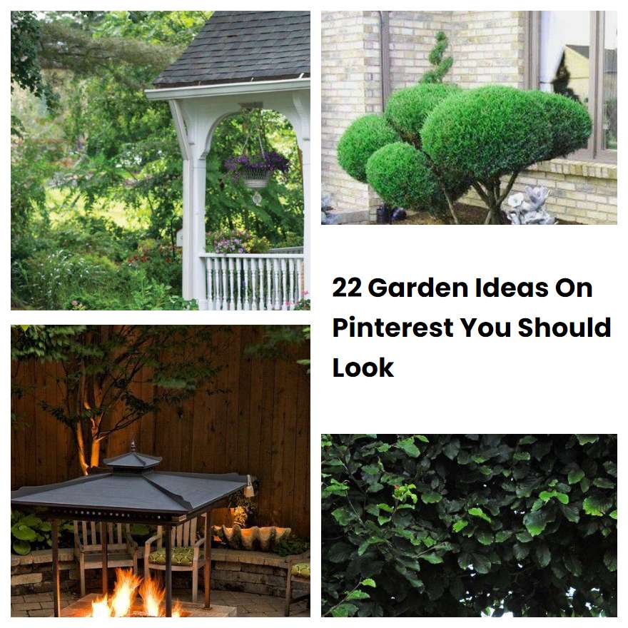 22 Garden Ideas On Pinterest You Should Look