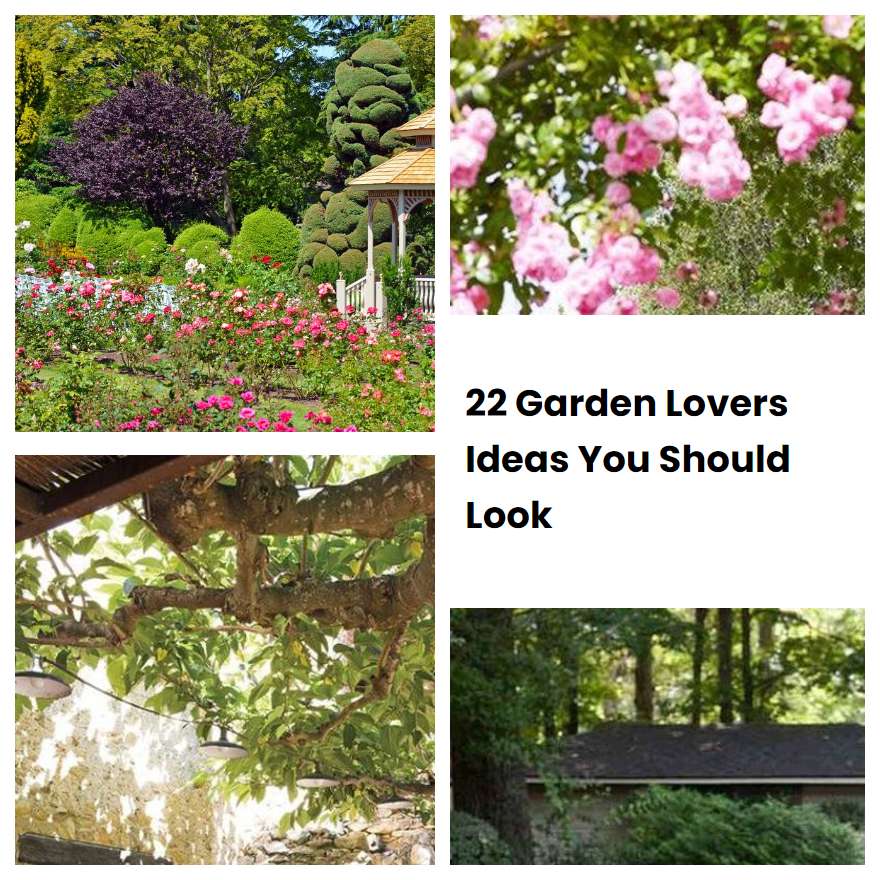 22 Garden Lovers Ideas You Should Look