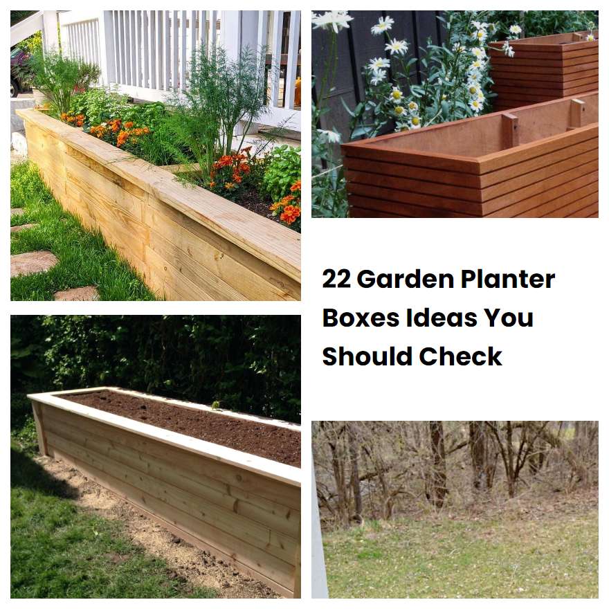 22 Garden Planter Boxes Ideas You Should Check SharonSable