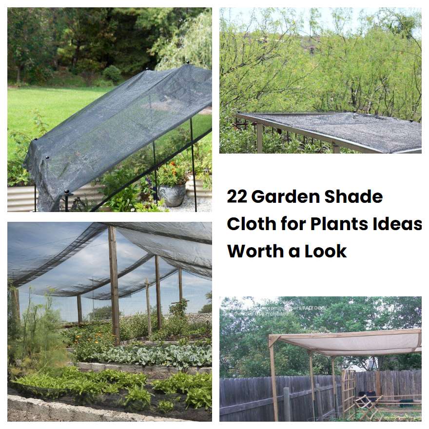 22 Garden Shade Cloth for Plants Ideas Worth a Look