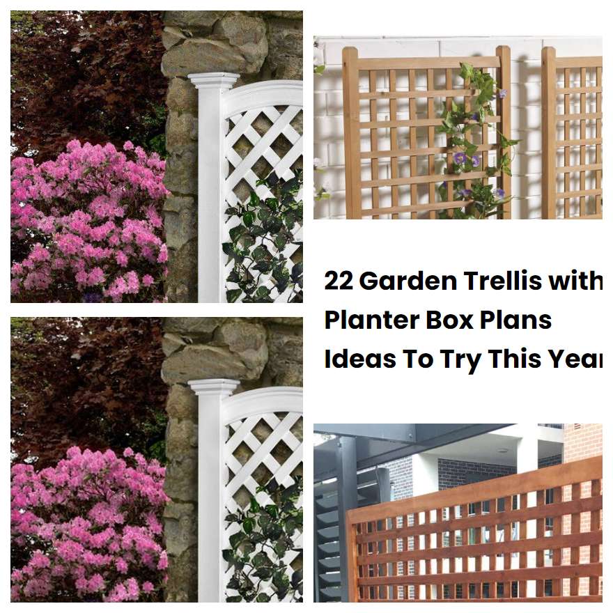 22 Garden Trellis with Planter Box Plans Ideas To Try This Year