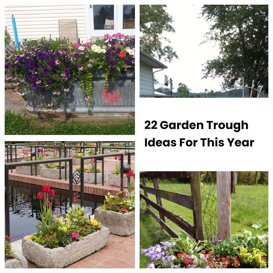 22 Garden Trough Ideas For This Year SharonSable