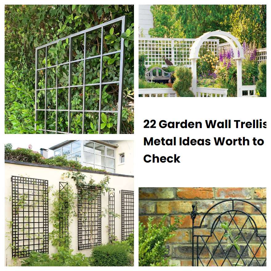 22 Garden Wall Trellis Metal Ideas Worth to Check