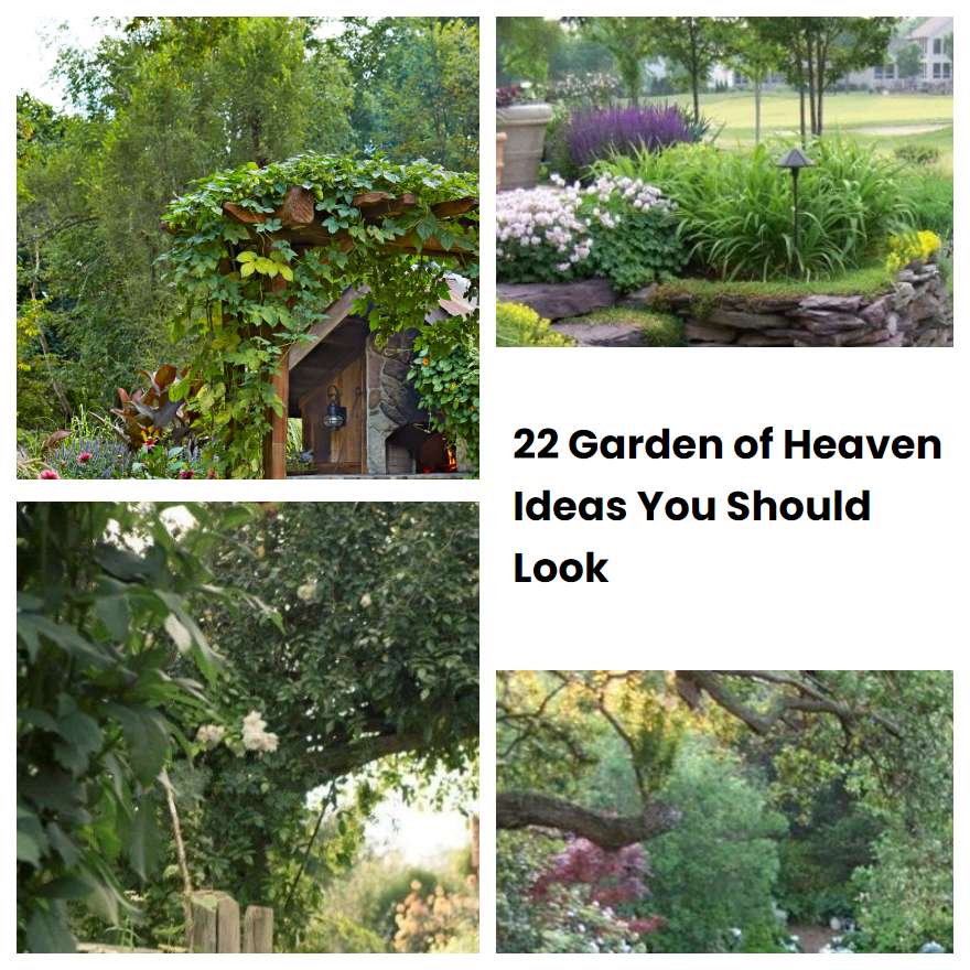 22 Garden of Heaven Ideas You Should Look