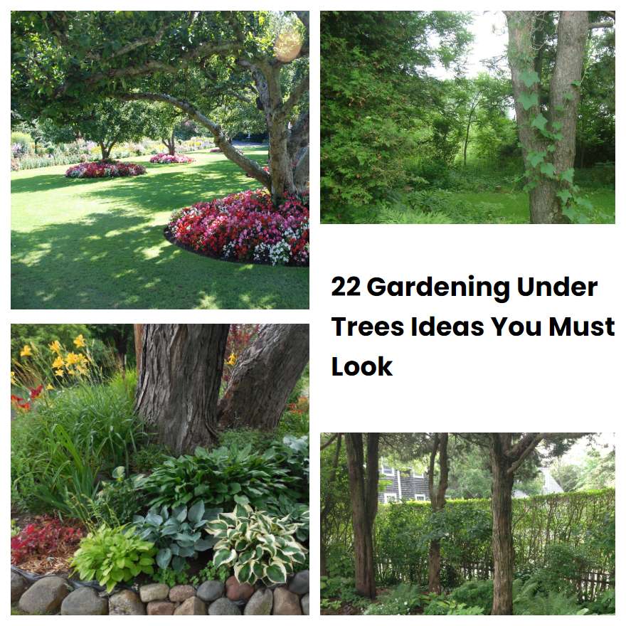 22 Gardening Under Trees Ideas You Must Look SharonSable