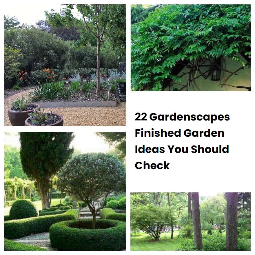 22 Gardenscapes Finished Garden Ideas You Should Check