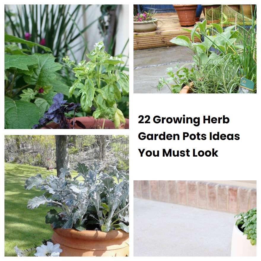 22 Growing Herb Garden Pots Ideas You Must Look SharonSable