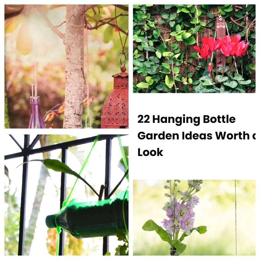 22 Hanging Bottle Garden Ideas Worth a Look SharonSable