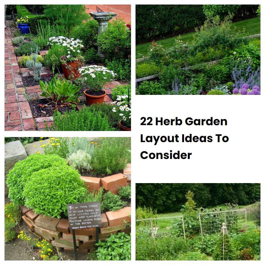 22 Herb Garden Layout Ideas To Consider SharonSable