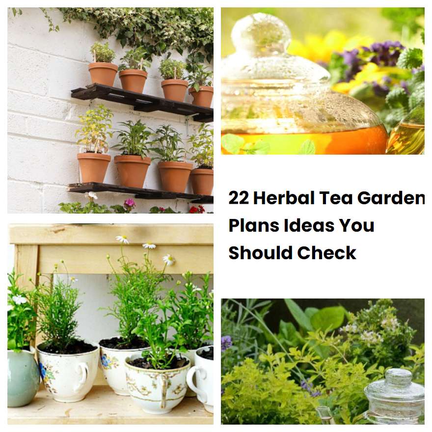 22 Herbal Tea Garden Plans Ideas You Should Check