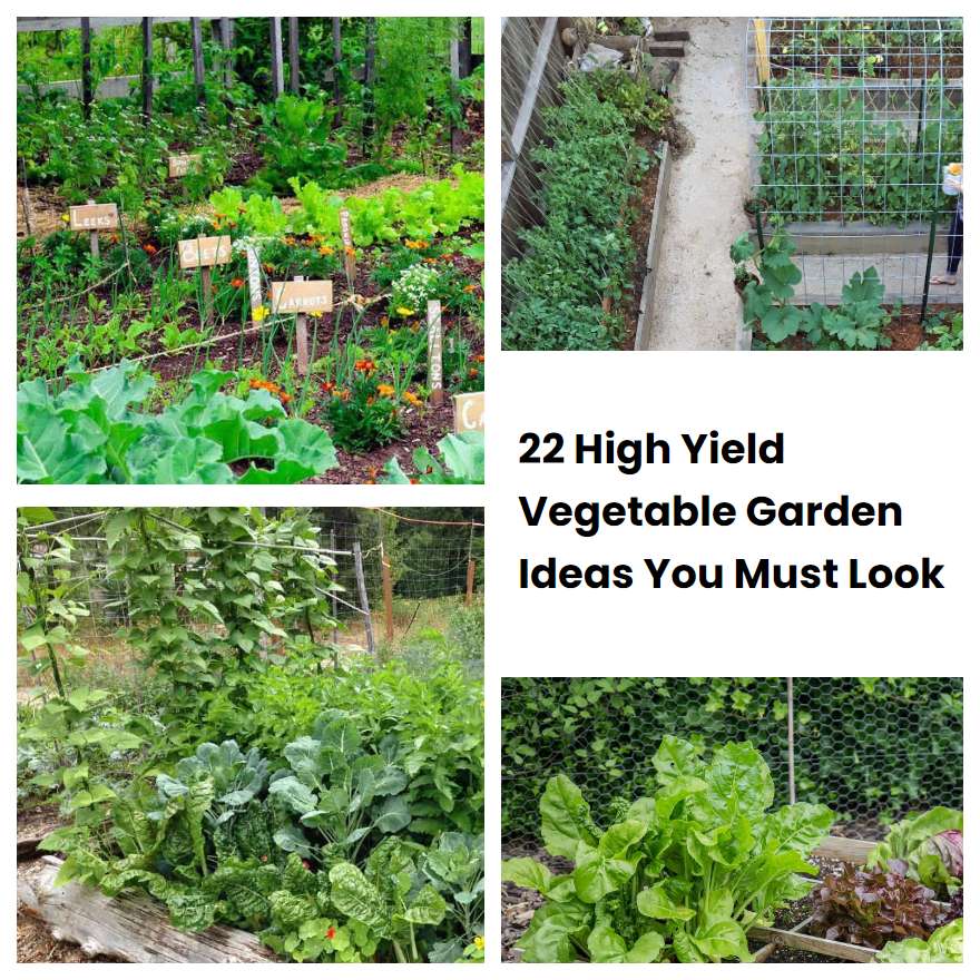 22 High Yield Vegetable Garden Ideas You Must Look