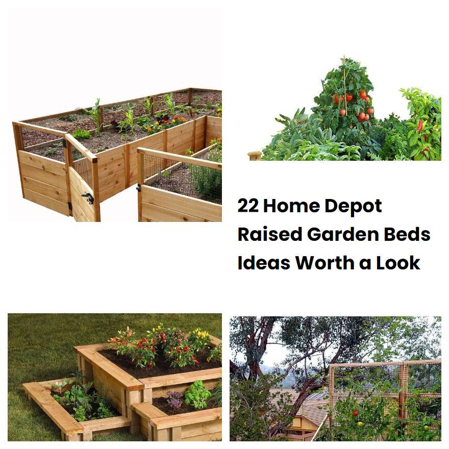 22 Home Depot Raised Garden Beds Ideas Worth a Look
